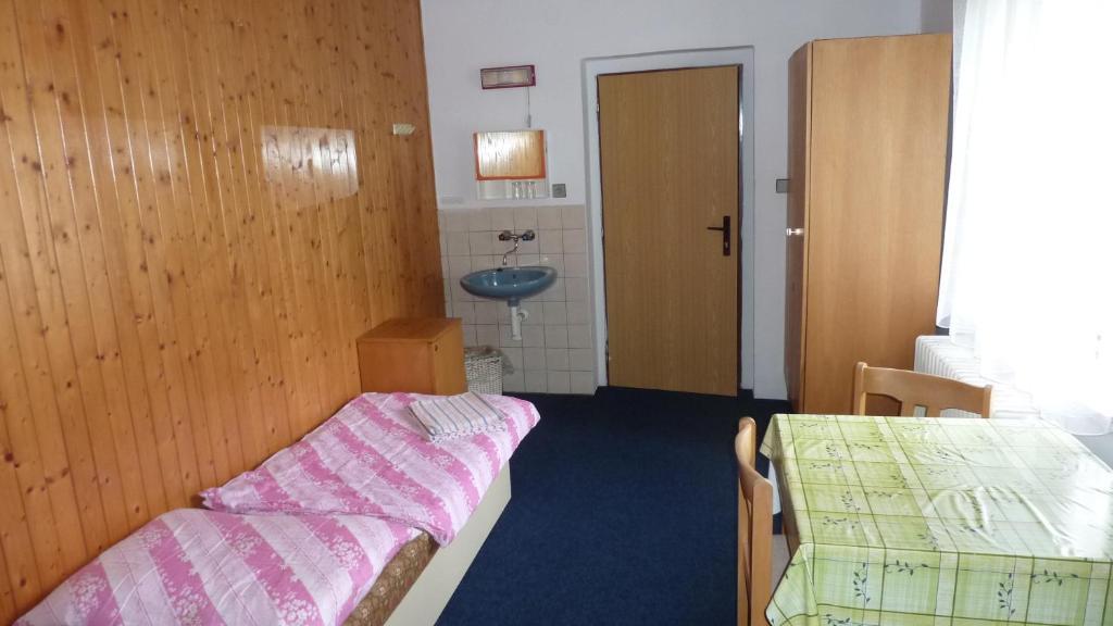 Penzion Tendr Destne v Orlickych horach Oda fotoğraf